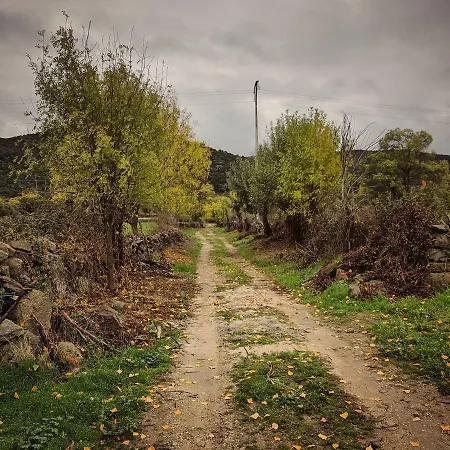 La Candileja *