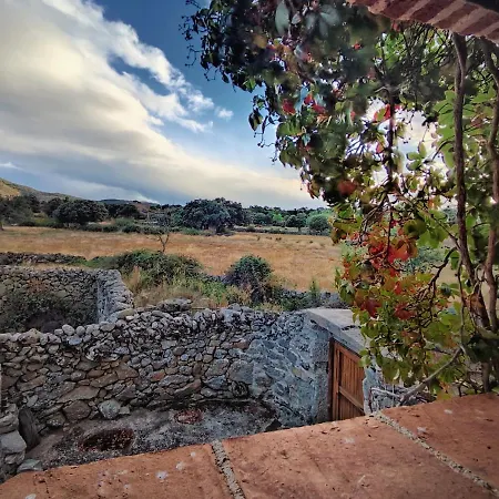 La Candileja *